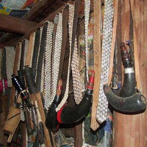 Panoramic Chin Hills