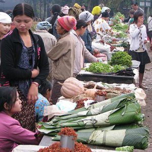 Trekking House Free and Easy