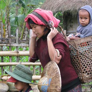 Trekking House Free and Easy