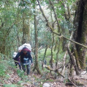 Mt. Saramati Expedition