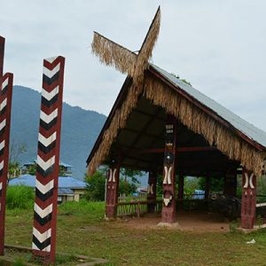 Welcome to The Nagaland