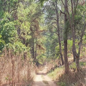 Pony trekking around Kalaw