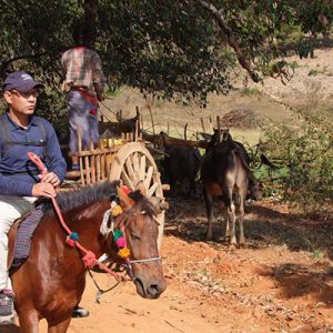 Pony trekking around Kalaw