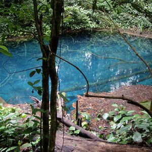 The Danu Encounter