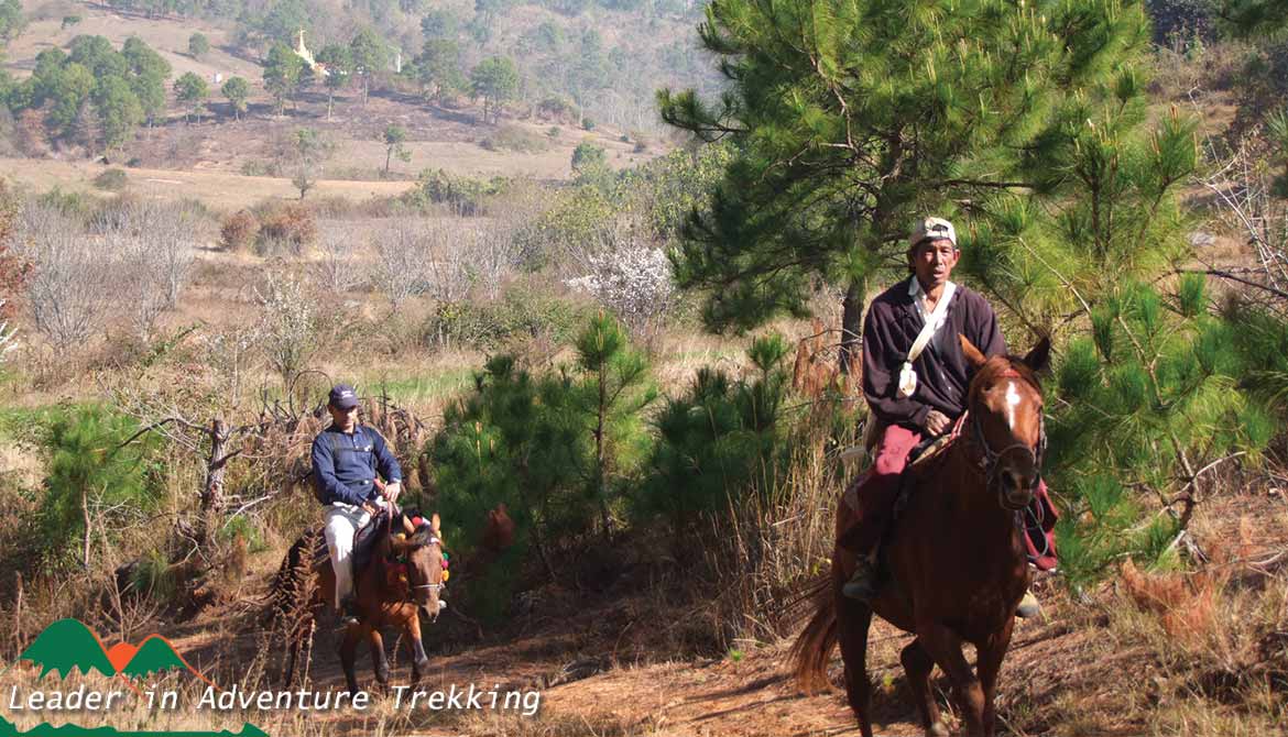 Pony trekking around Kalaw