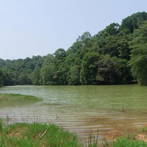 Birding Paradise Around Kalaw