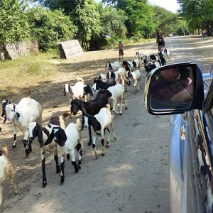Community Based Ecotourism in Chin Hills