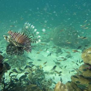 Marine Ecotourism in Lampi Islands