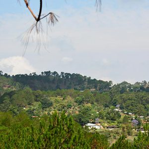 Birding Paradise Around Kalaw