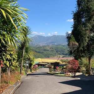 Journey to the Mysterious Valleys and Rubies