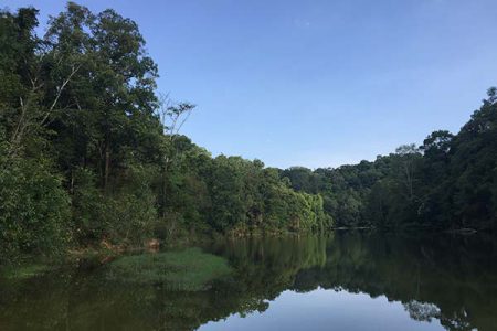 Birding Paradise Around Kalaw