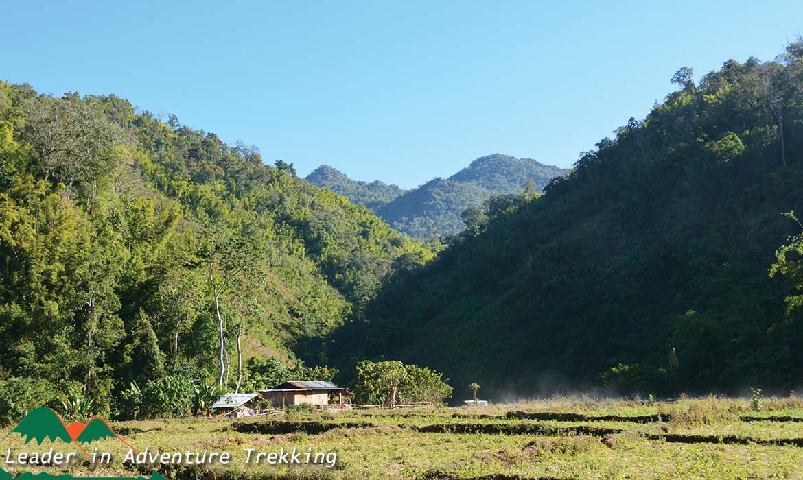 Birding Paradise Around Kalaw